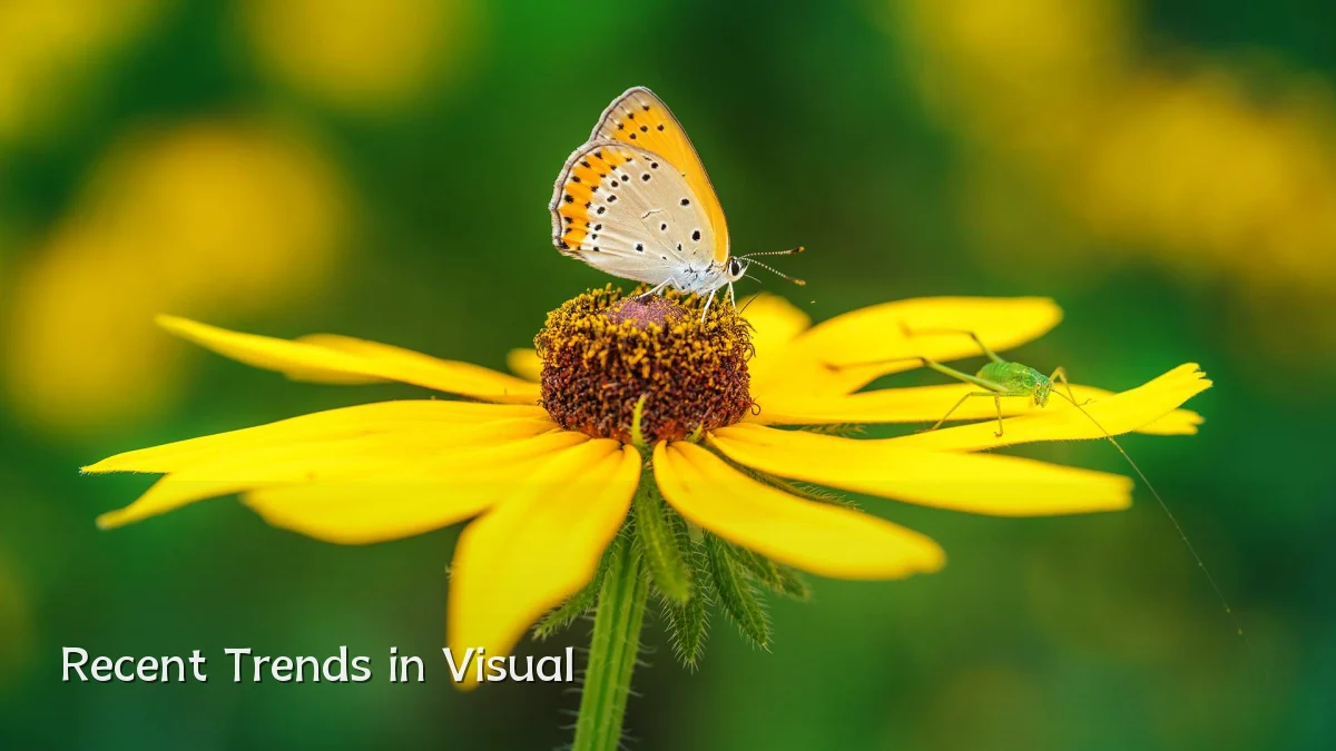 Recent Trends in Visual