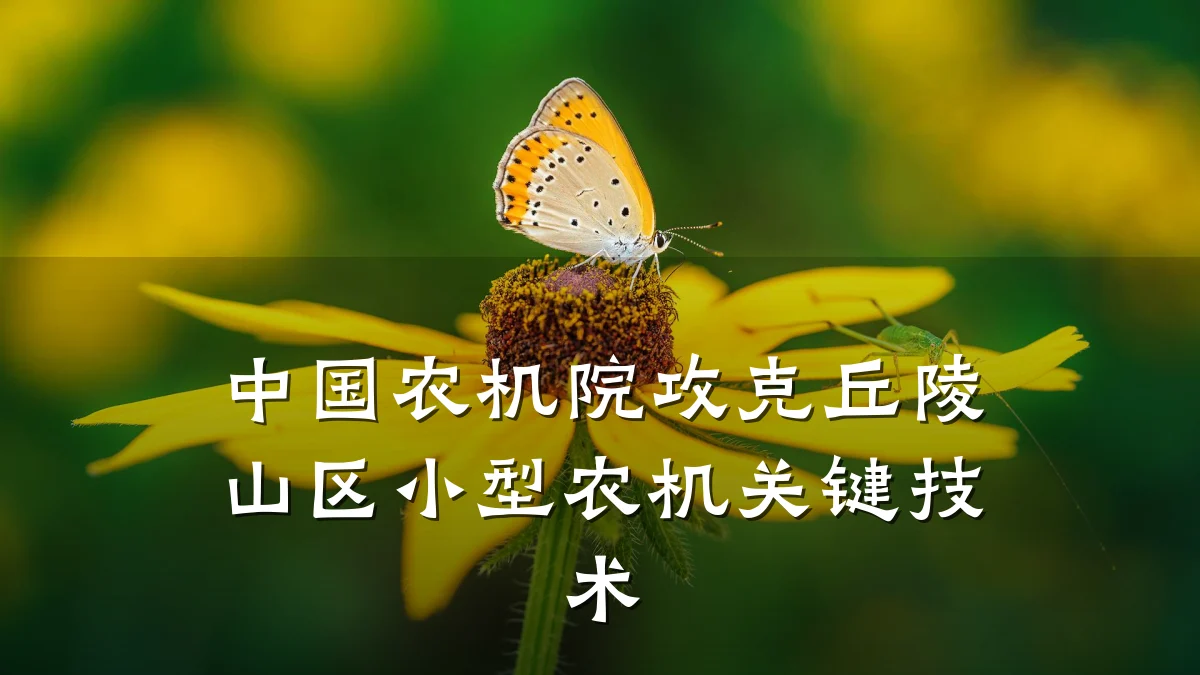 中国农机院攻克丘陵山区小型农机关键技术