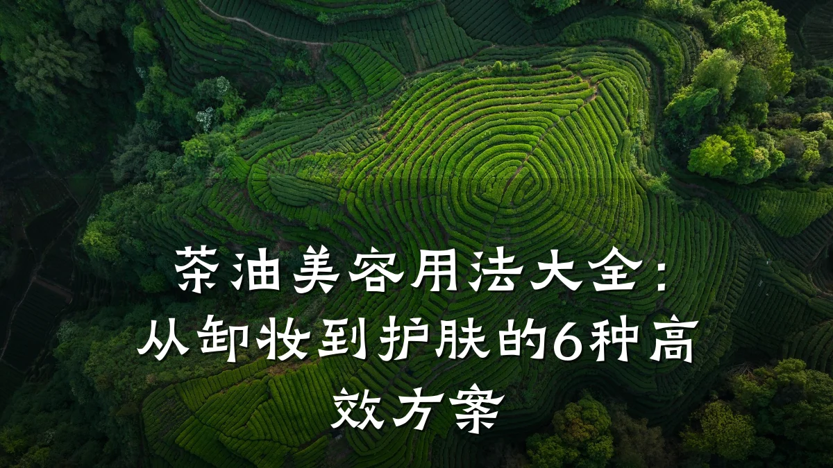 茶油美容用法大全：从卸妆到护肤的6种高效方案