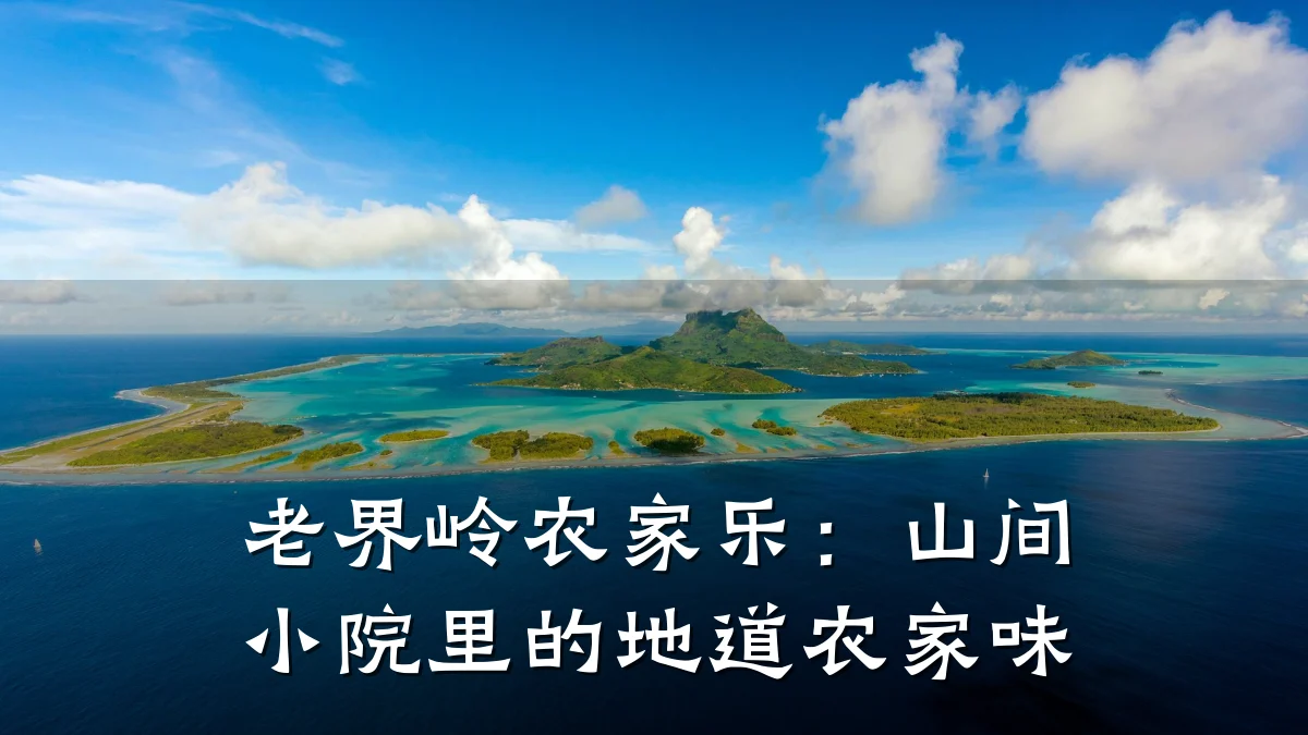 老界岭农家乐:山间小院里的地道农家味