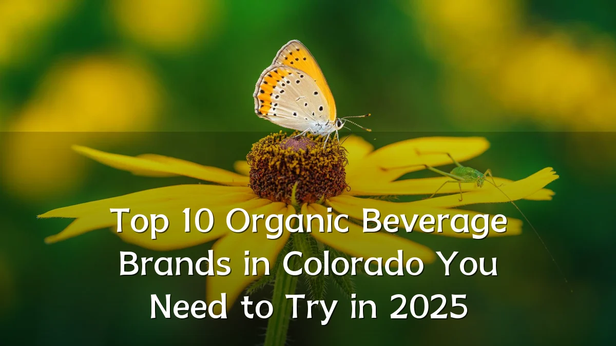 Top 10 Organic Beverage Brands in Colorado You Need to Try in 2025