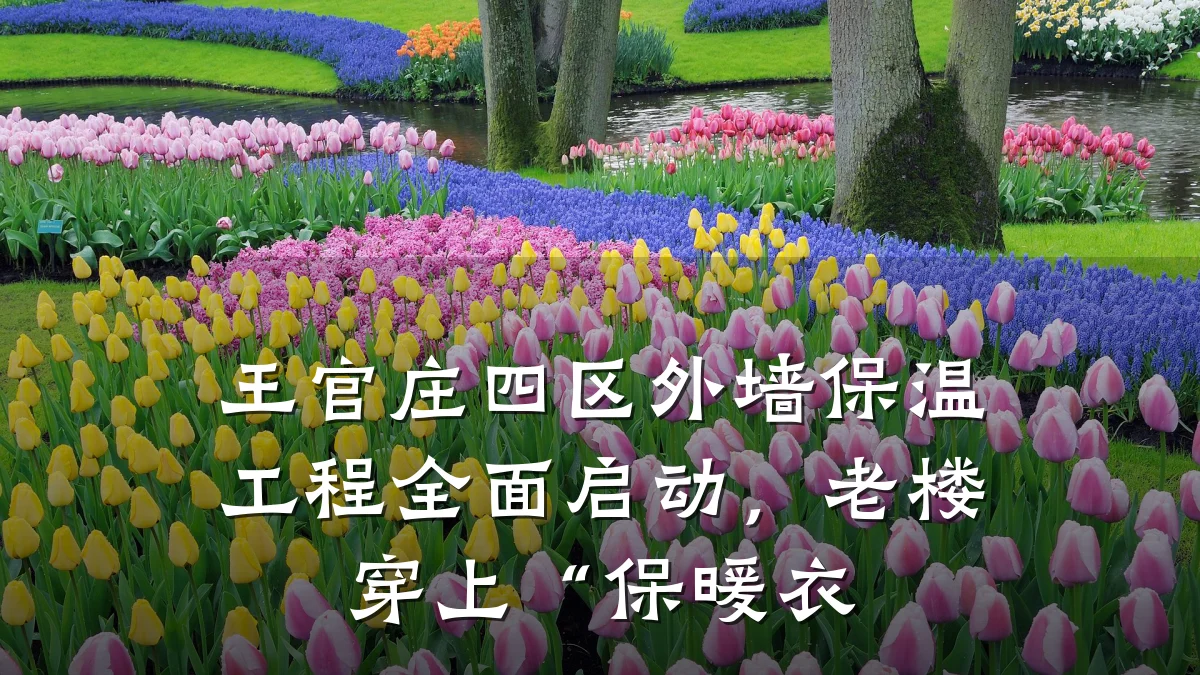 王官庄四区外墙保温工程全面启动,老楼穿上“保暖衣