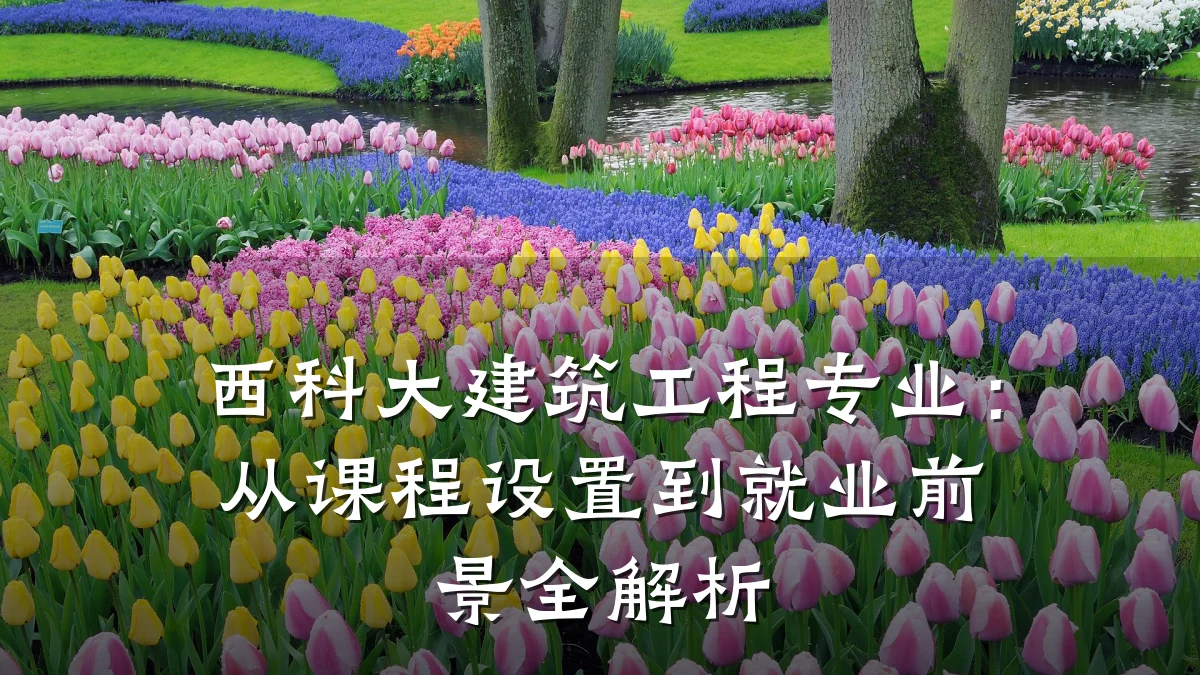 西科大建筑工程专业：从课程设置到就业前景全解析