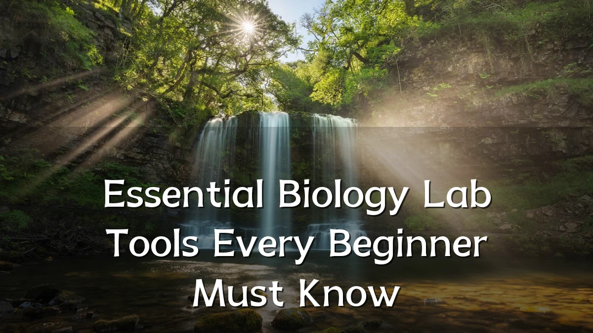 Essential Biology Lab Tools Every Beginner Must Know