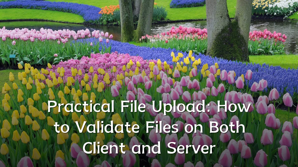 Practical File Upload: How to Validate Files on Both Client and Server