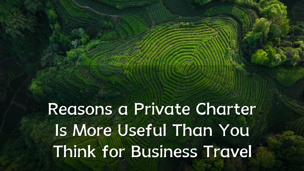 Reasons a Private Charter Is More Useful Than You Think for Business Travel
