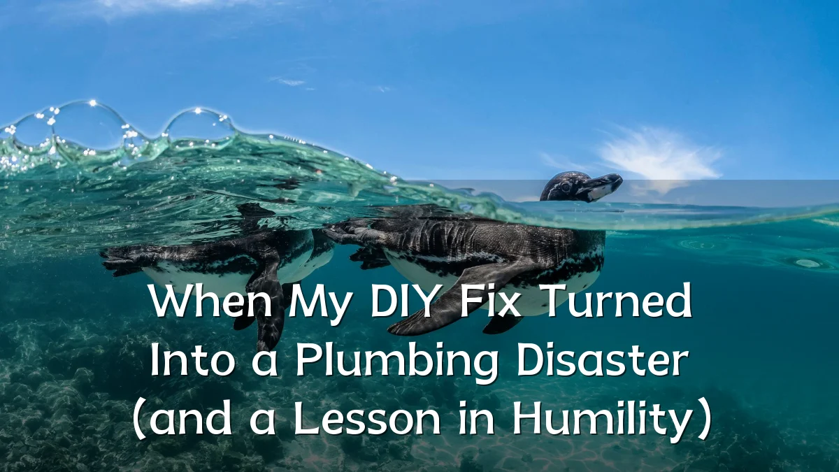 When My DIY Fix Turned Into a Plumbing Disaster (and a Lesson in Humility)