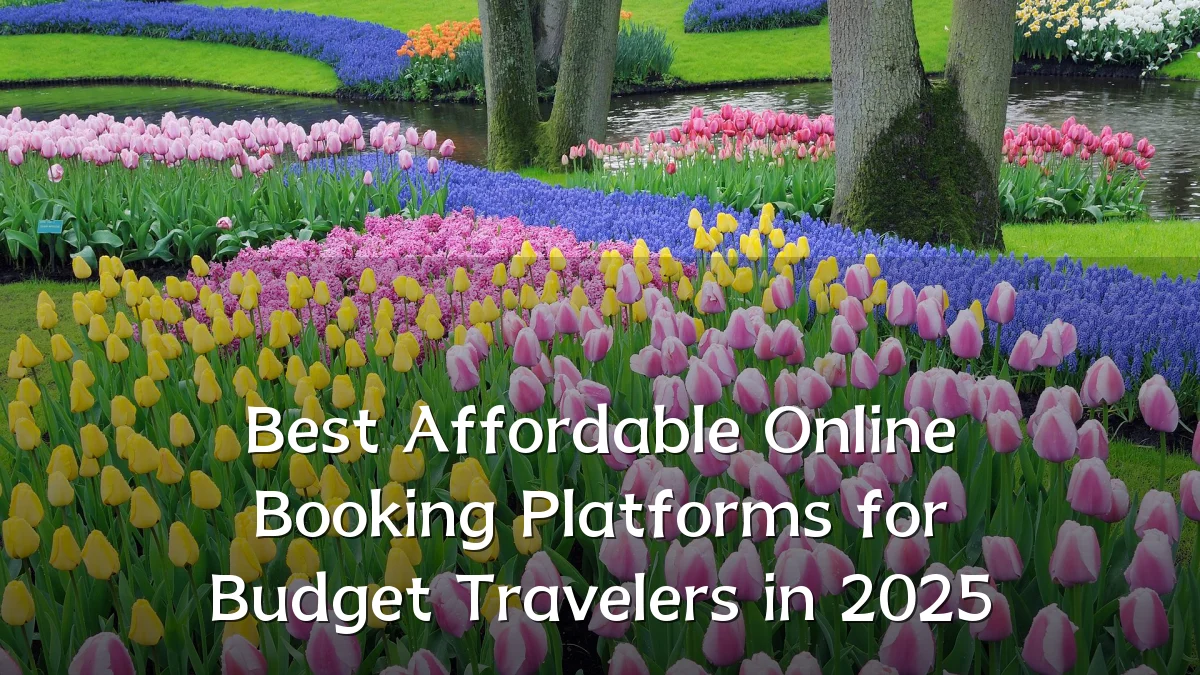 Best Affordable Online Booking Platforms for Budget Travelers in 2025