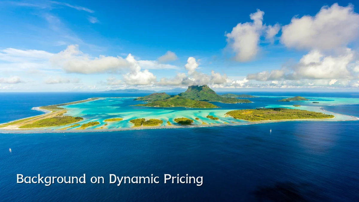 Background on Dynamic Pricing
