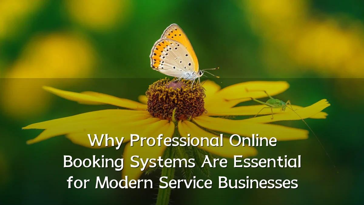 Why Professional Online Booking Systems Are Essential for Modern Service Businesses