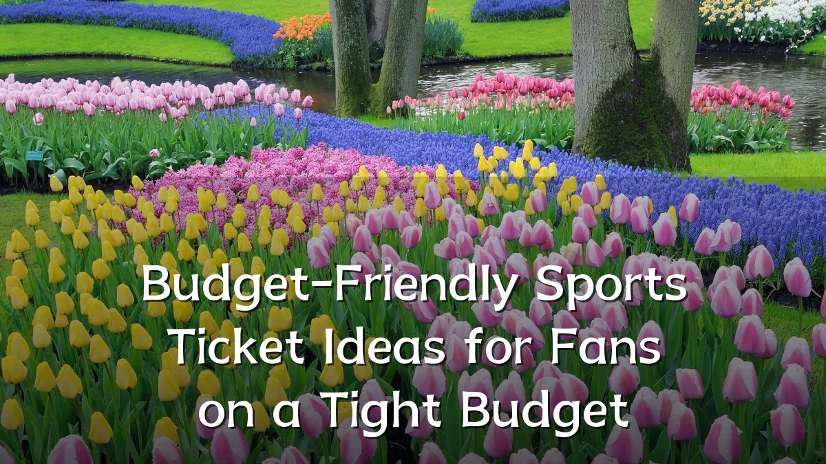 Budget-Friendly Sports Ticket Ideas for Fans on a Tight Budget
