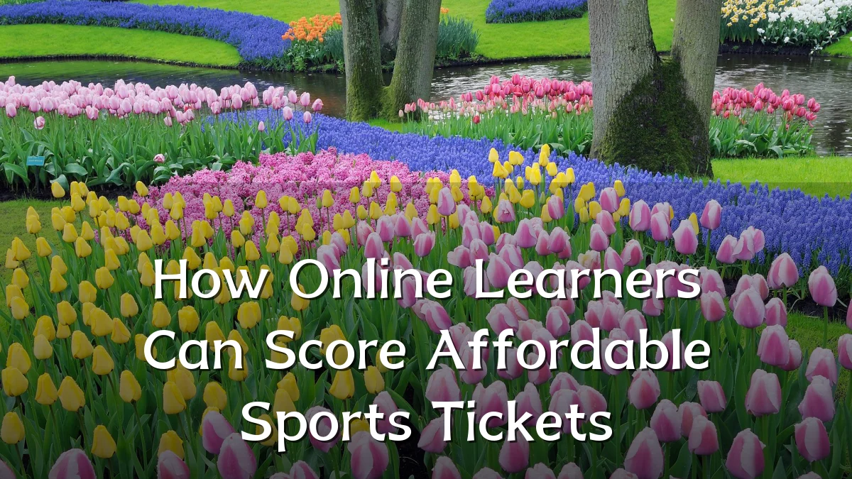 How Online Learners Can Score Affordable Sports Tickets