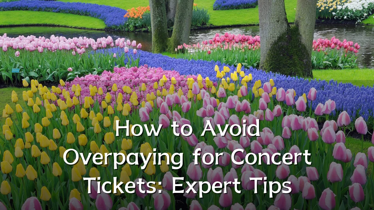How to Avoid Overpaying for Concert Tickets: Expert Tips