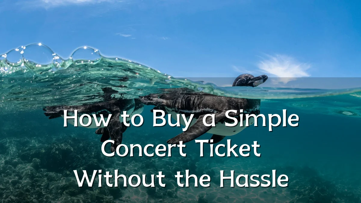 How to Buy a Simple Concert Ticket Without the Hassle
