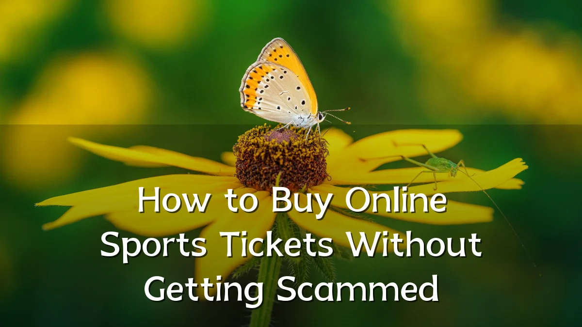 How to Buy Online Sports Tickets Without Getting Scammed