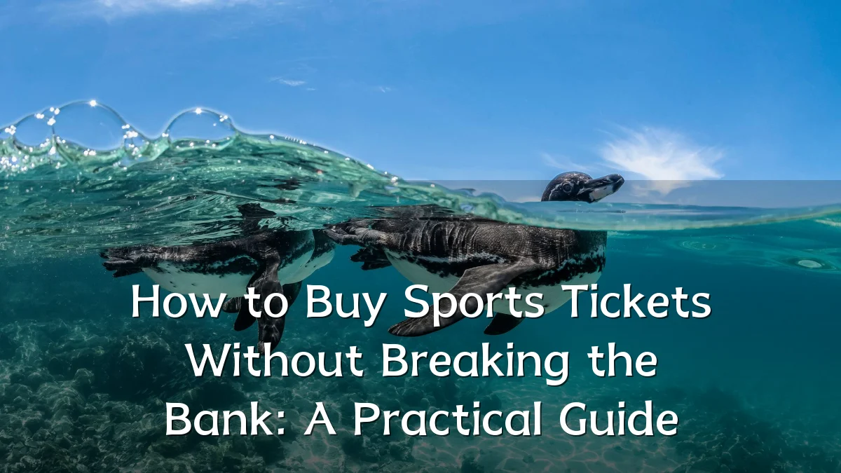 How to Buy Sports Tickets Without Breaking the Bank: A Practical Guide