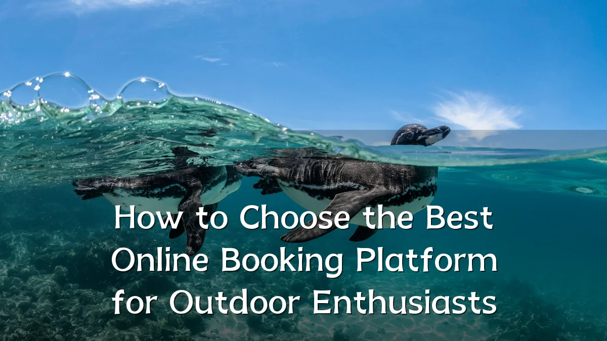 How to Choose the Best Online Booking Platform for Outdoor Enthusiasts