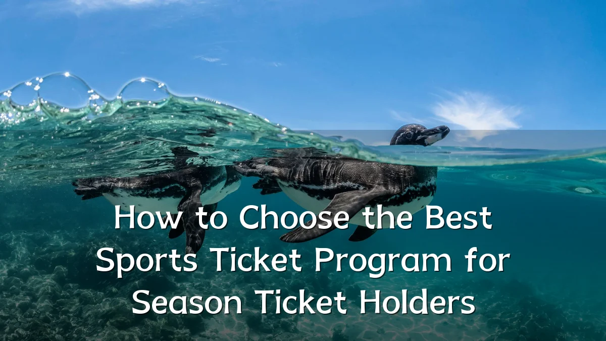 How to Choose the Best Sports Ticket Program for Season Ticket Holders