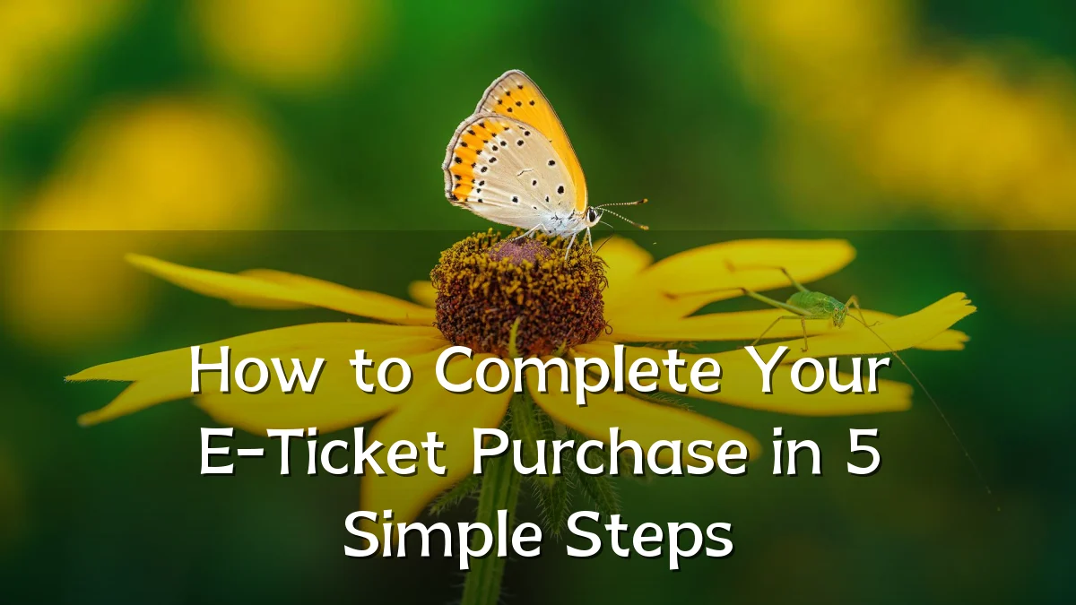 How to Complete Your E-Ticket Purchase in 5 Simple Steps