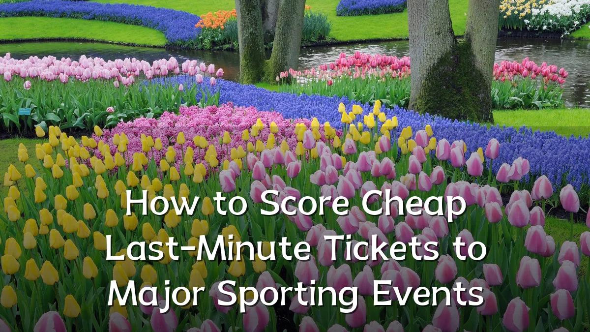 How to Score Cheap Last-Minute Tickets to Major Sporting Events