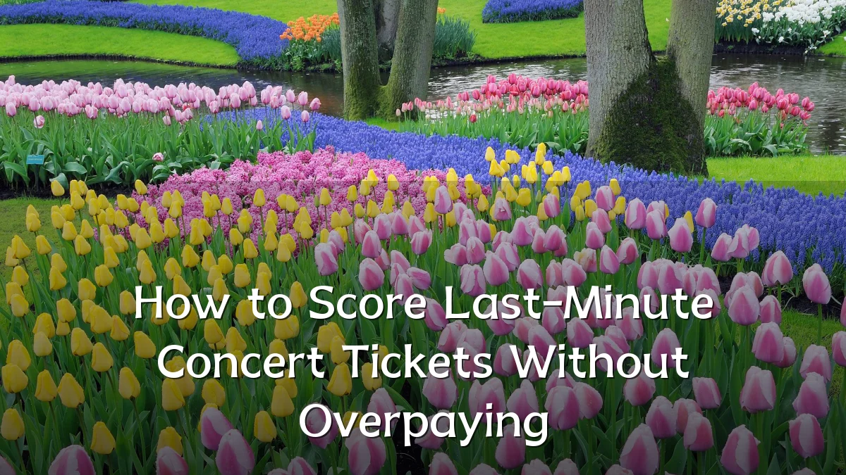 How to Score Last-Minute Concert Tickets Without Overpaying