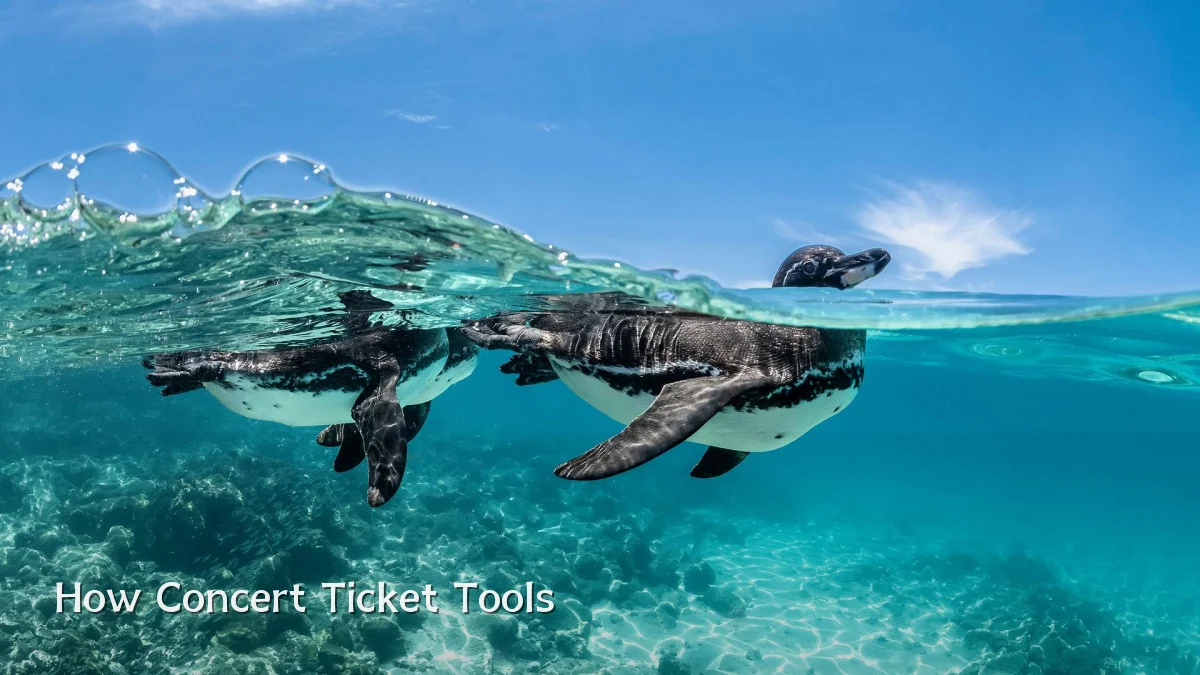 How Concert Ticket Tools