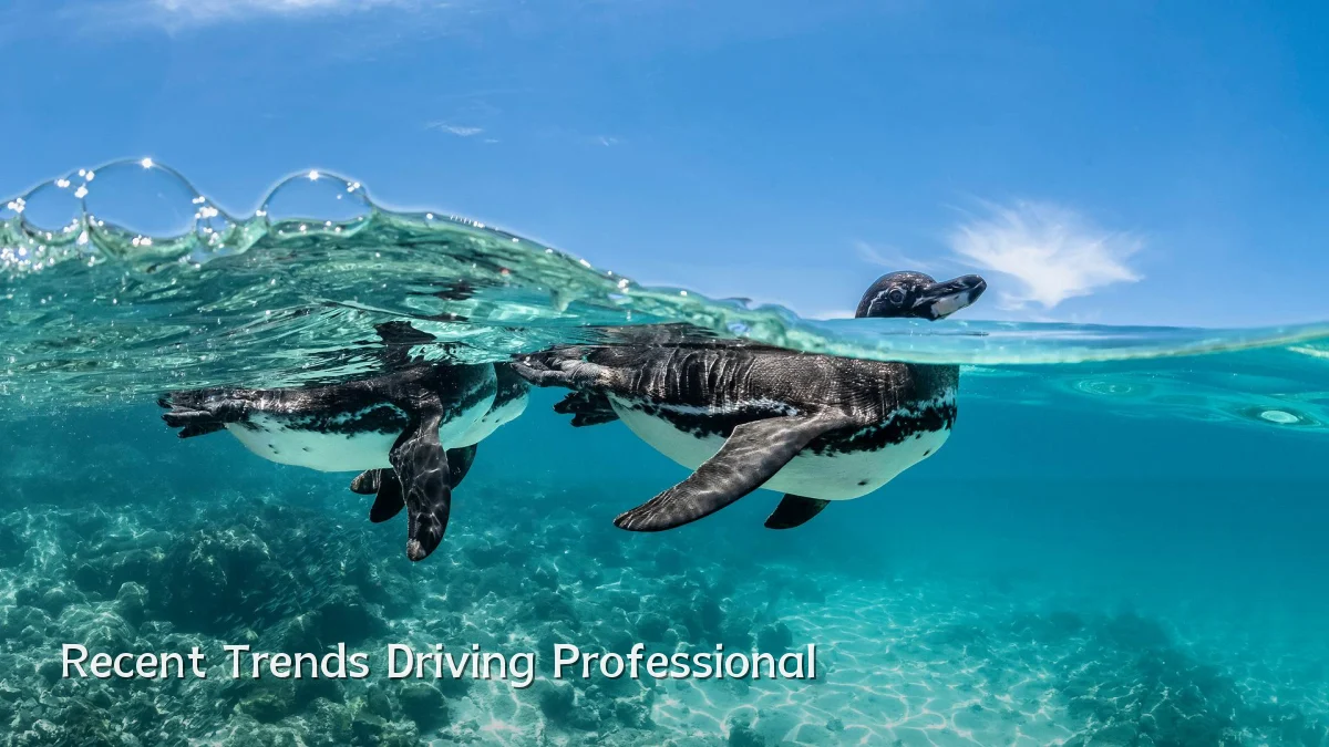 Recent Trends Driving Professional