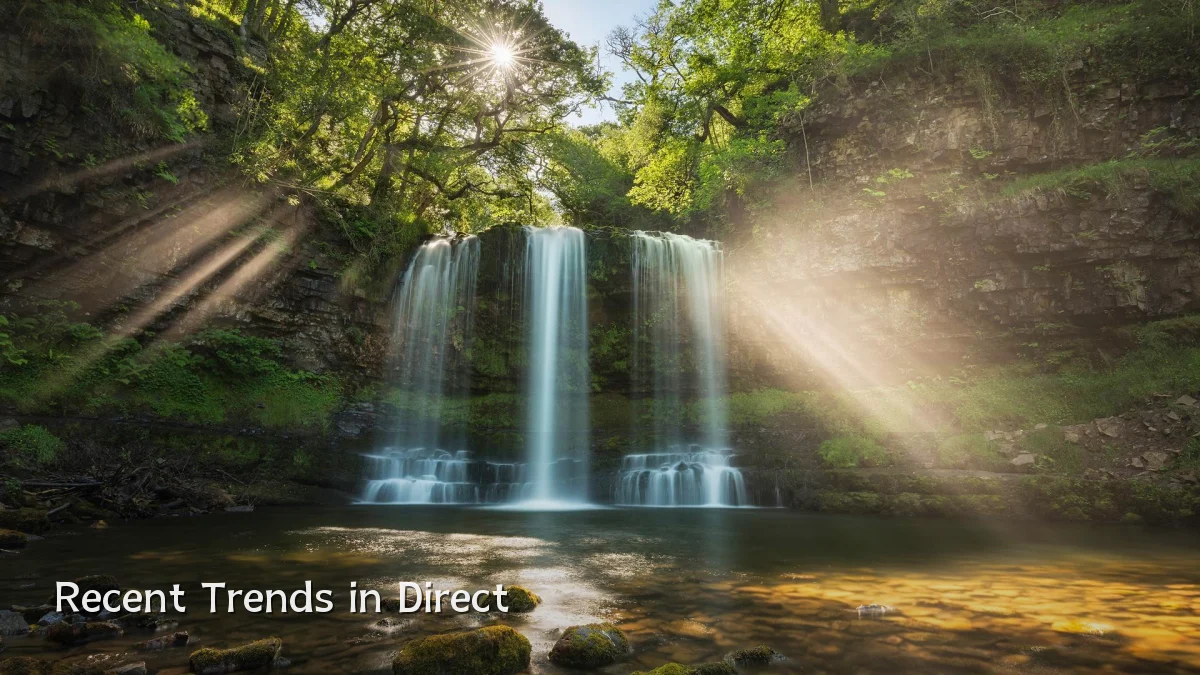 Recent Trends in Direct