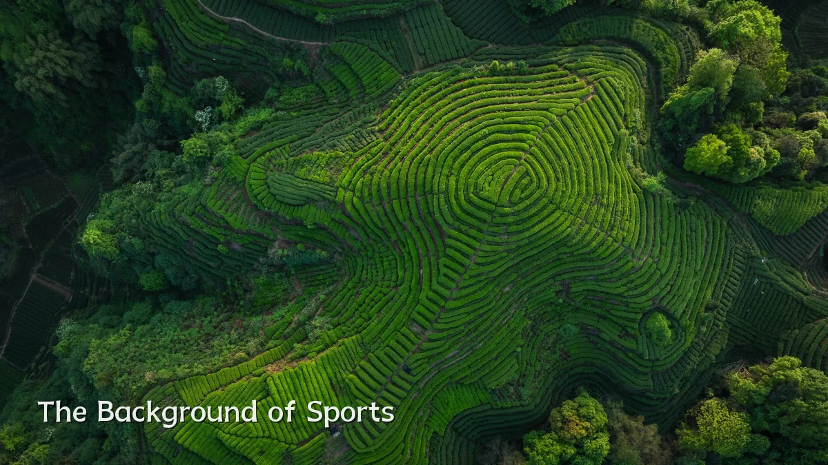 The Background of Sports