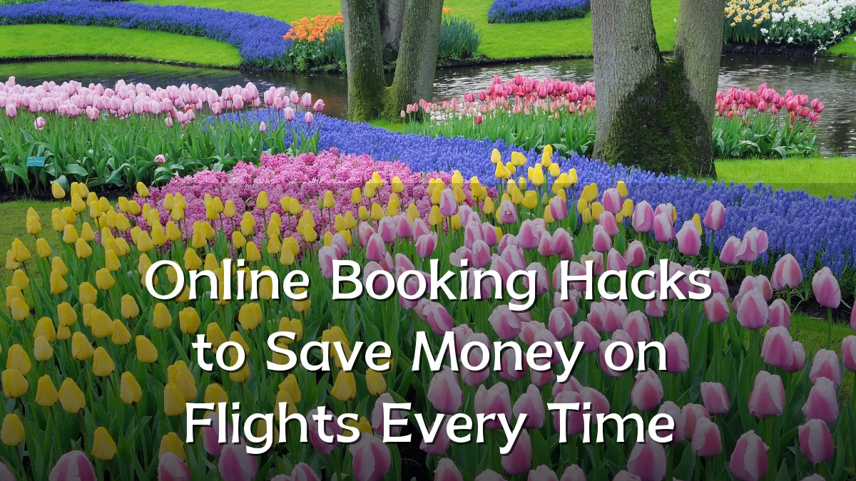 Online Booking Hacks to Save Money on Flights Every Time