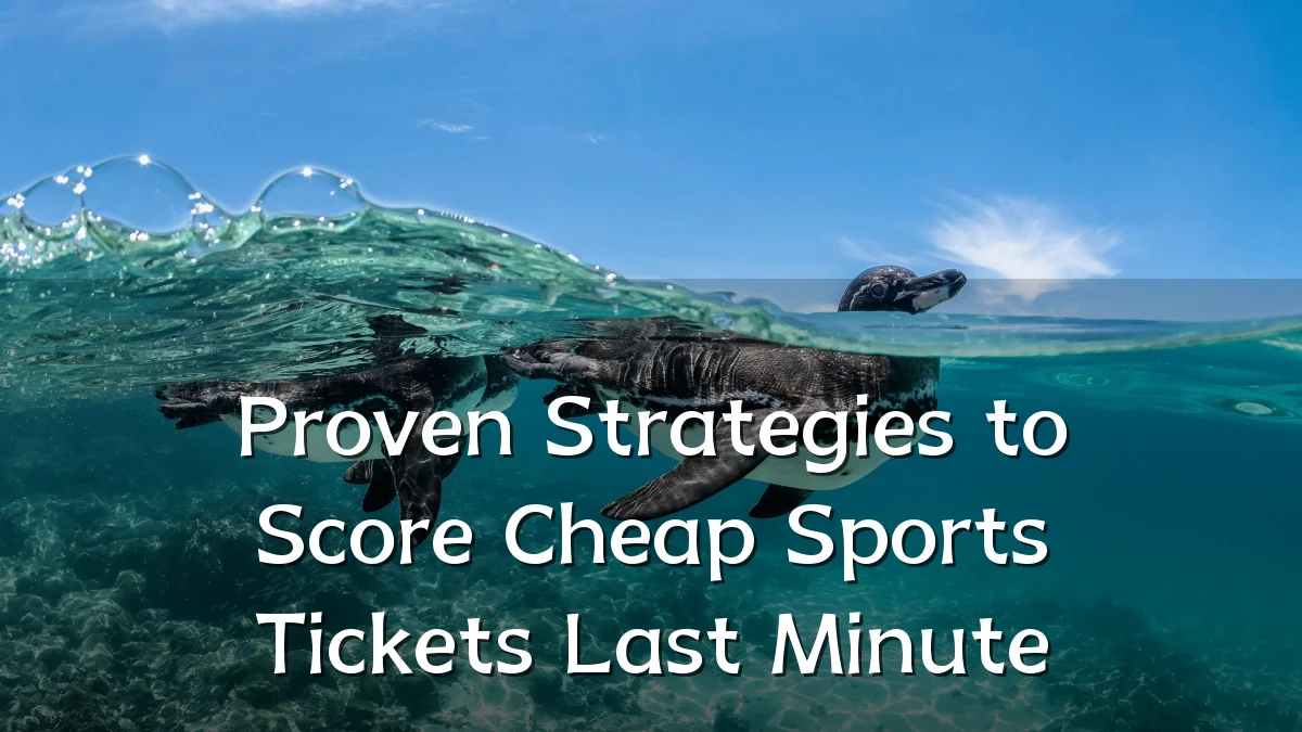 Proven Strategies to Score Cheap Sports Tickets Last Minute