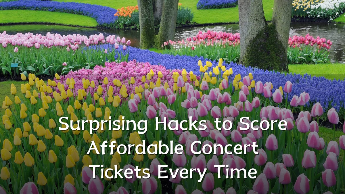 Surprising Hacks to Score Affordable Concert Tickets Every Time