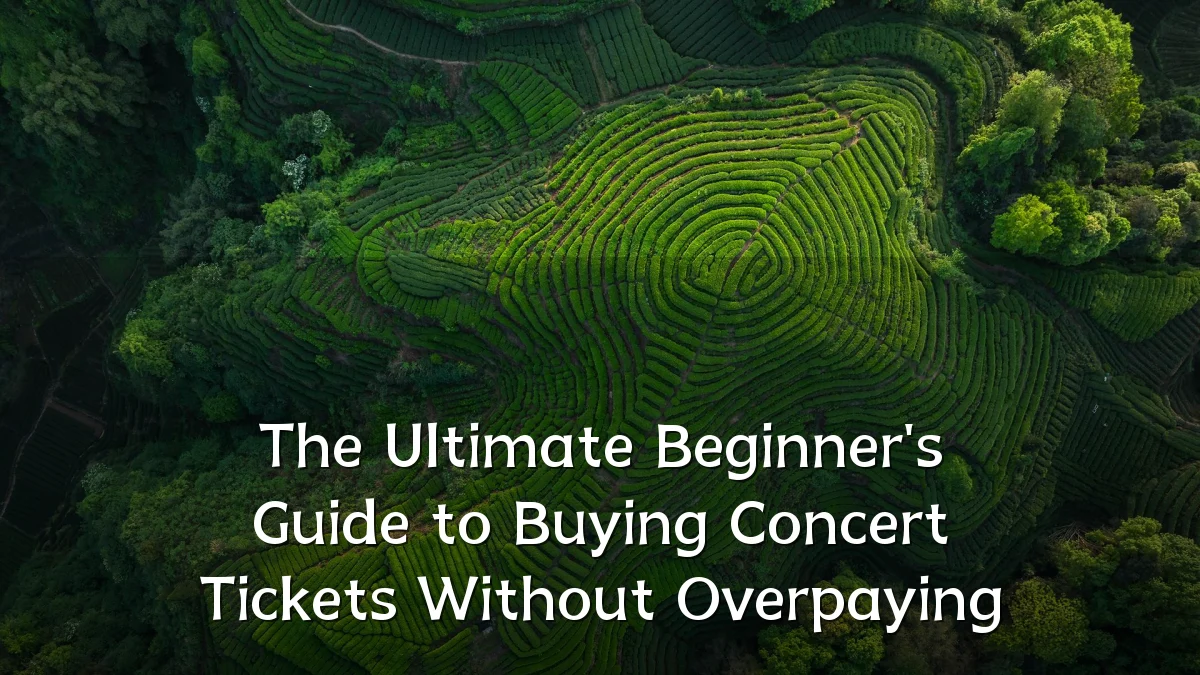 The Ultimate Beginner's Guide to Buying Concert Tickets Without Overpaying