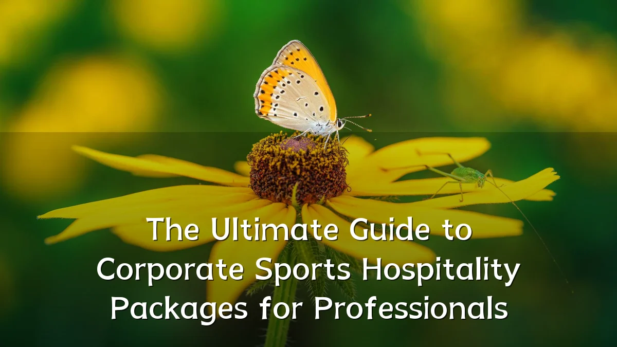 The Ultimate Guide to Corporate Sports Hospitality Packages for Professionals