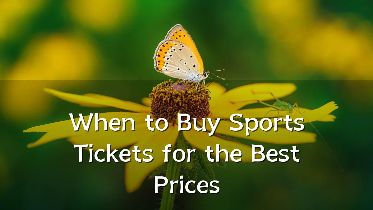When to Buy Sports Tickets for the Best Prices