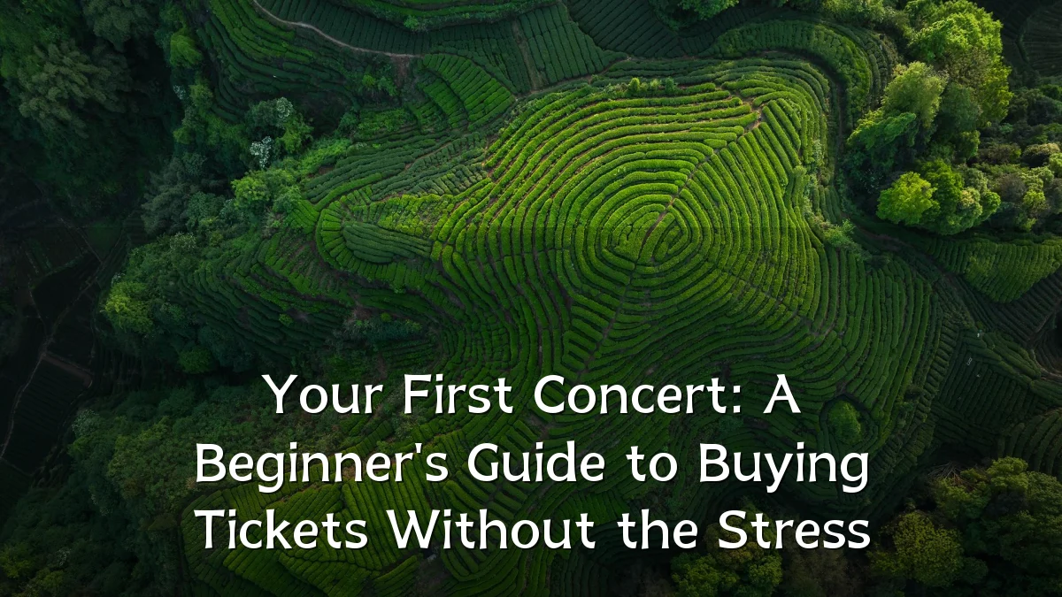 Your First Concert: A Beginner's Guide to Buying Tickets Without the Stress