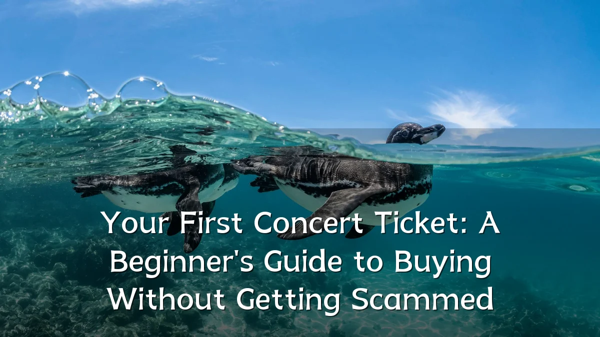 Your First Concert Ticket: A Beginner's Guide to Buying Without Getting Scammed