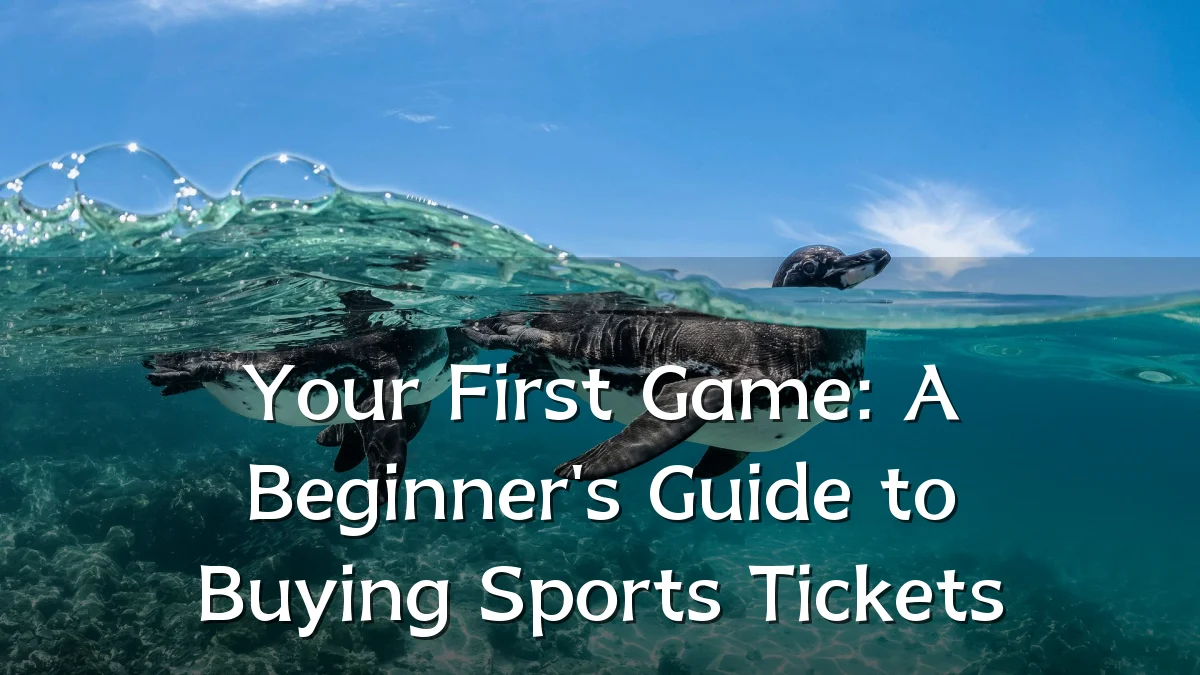 Your First Game: A Beginner's Guide to Buying Sports Tickets