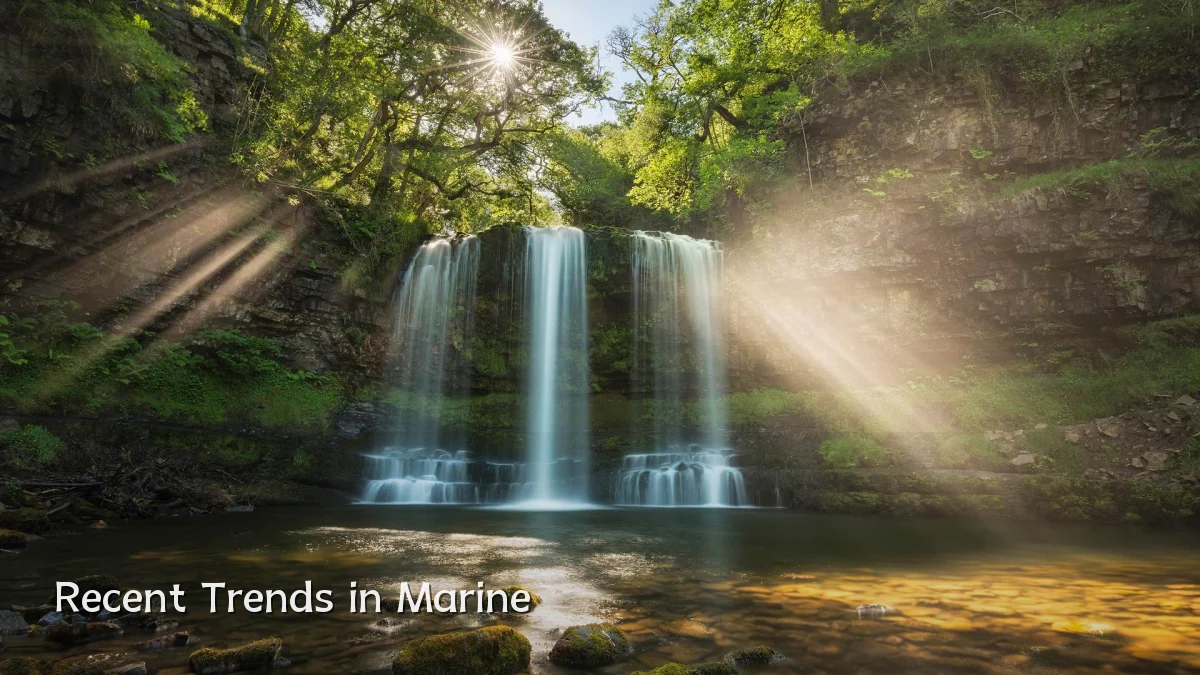 Recent Trends in Marine